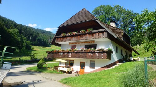 Ferienwohnung Bergquelle mit Bergblick, privater Terrasse und Wi-Fi