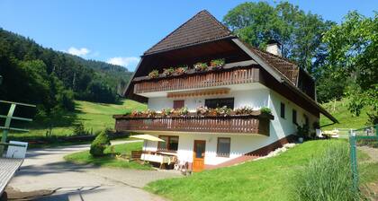 Ferienwohnung Bergquelle mit Bergblick, privater Terrasse und Wi-Fi