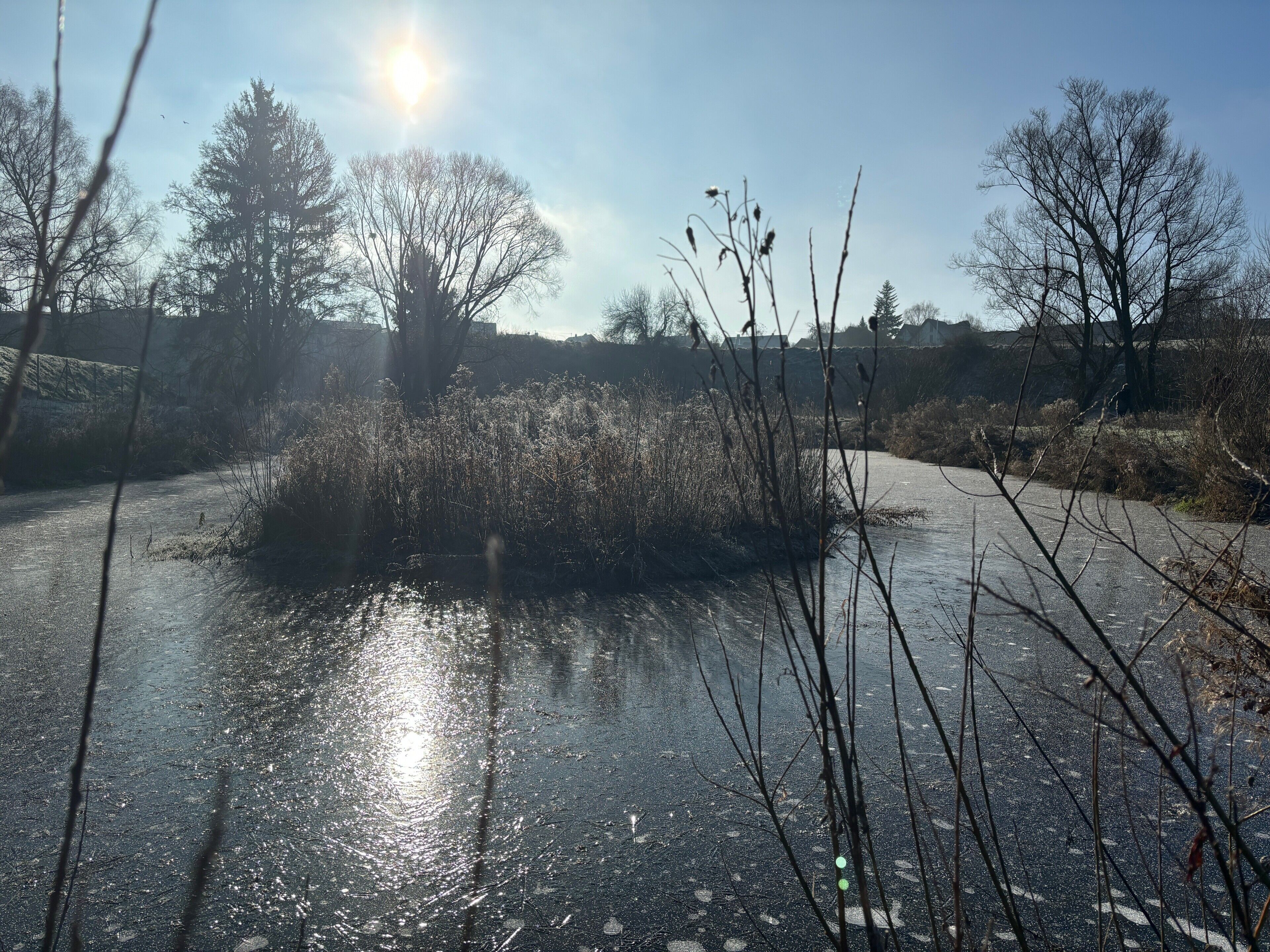 A road with a puddle reflecting the sun, surrounded by vegetation and trees.