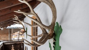 A large antler mounted on a wall, a wooden ceiling, and a window with a view of the outside.