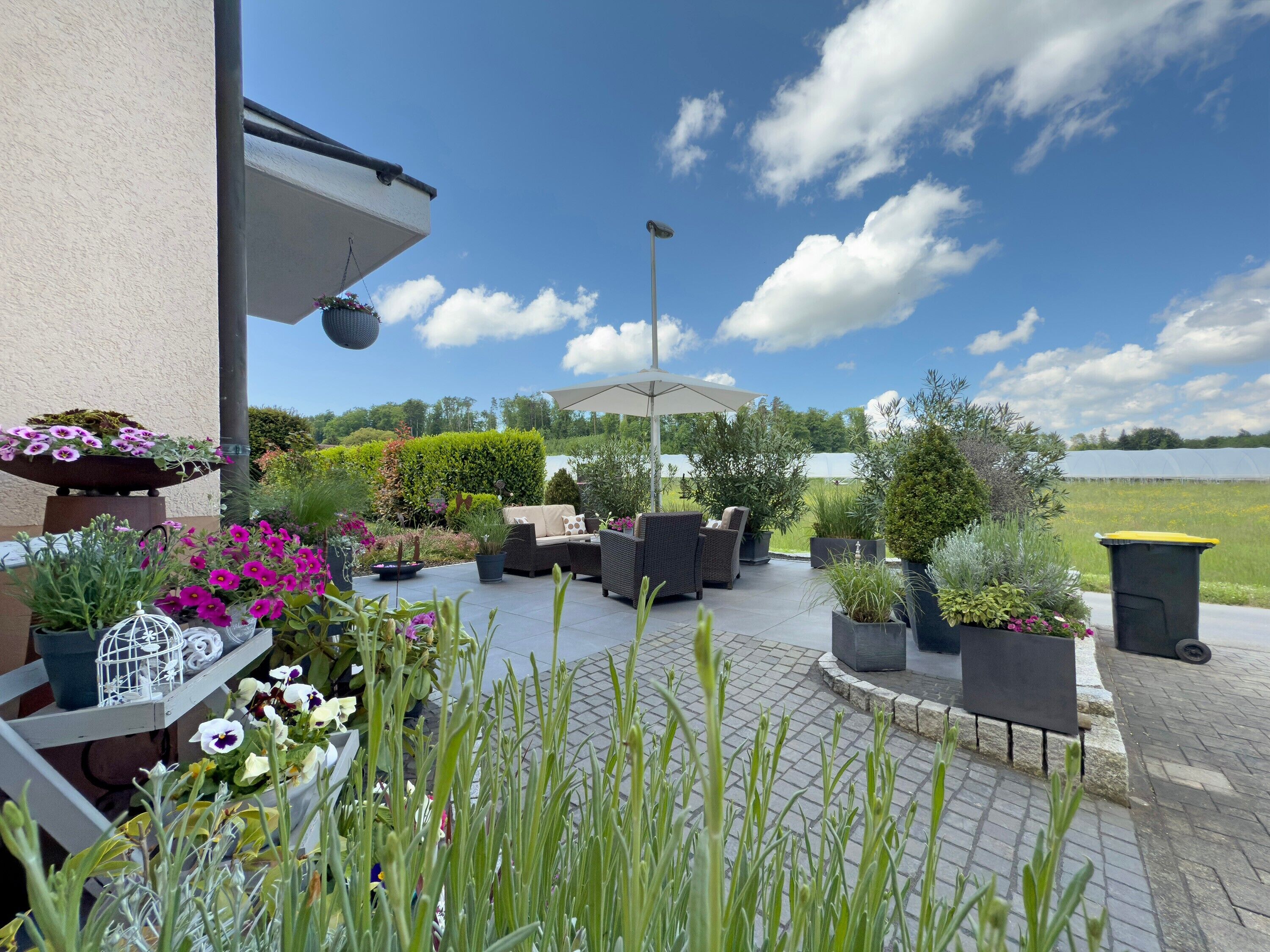 An outdoor patio with seating, potted plants, and a view of a lake.