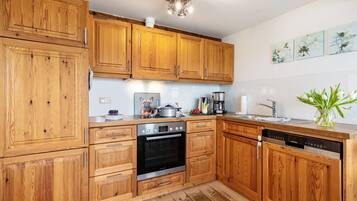 Fridge, oven, stovetop, dishwasher