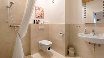Shower, hair dryer, towels
