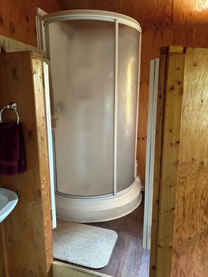Shower, hair dryer, towels, soap - Denali Gnome Home (Healy)