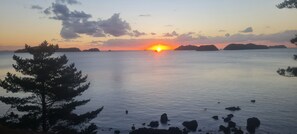 Miscellaneous - Nature at its Best - Native bush tranquil & secluded (Amodeo Bay)