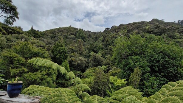 Et frodigt, grønt landskab med tæt vegetation og en overskyet himmel.