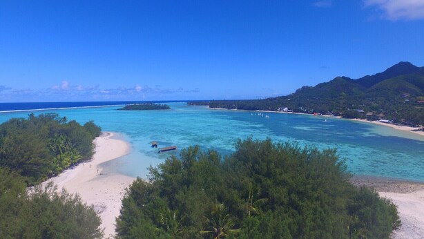 A tropical beach with clear turquoise waters, a sandy shoreline, and lush greenery. - Muri Lagoon Lodge (Rarotonga)