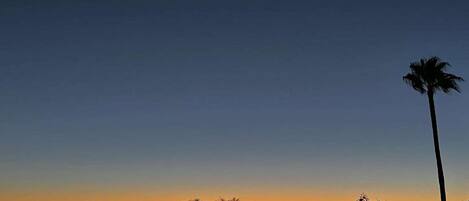 A sunset with a clear sky, a palm tree, and silhouettes of trees and hills.