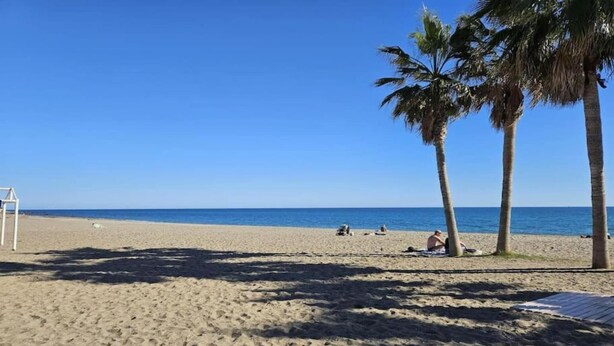 A sandy beach with palm trees and a clear blue sky. - Apartment in Mijas Costa near Beaches (Mijas Costa)