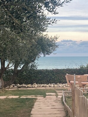 Terrace/patio - Falipè (Pineto)