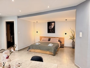 Luxury Apartment