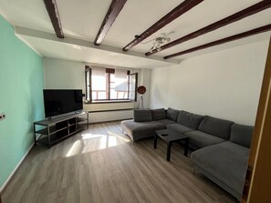 Smart TV, table football - Large apartment in the middle of the Palatinate Forest (Kindsbach)