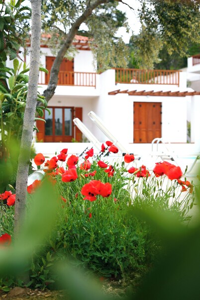 Skopelos Summer Homes