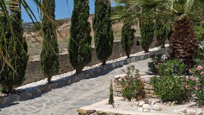 A stone pathway leading to a hillside with cypress trees and a palm tree. - Apleton Villas Paros (Paros)