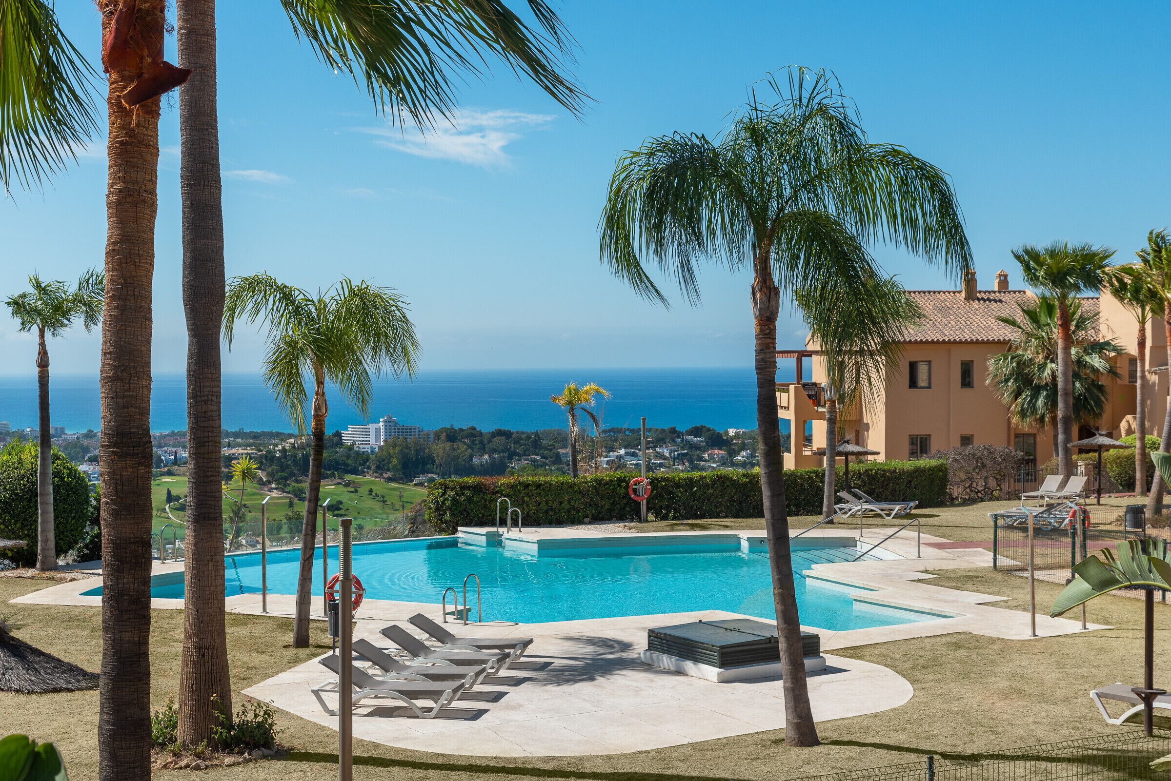 A pool area with lounge chairs, palm trees, and a view of the ocean.