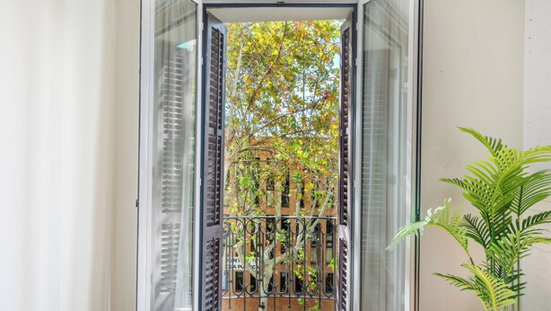 En glasdør fører ud til en balkon med udsigt til en bygning og en potteplante.
