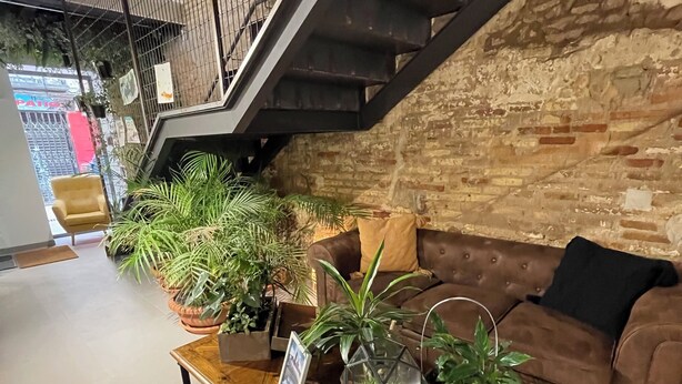 A modern interior with a wooden table displaying various potted plants, a brown leather sofa, and a staircase with a metal railing. - VTZ The Botanic Hostel (Zaragoza)