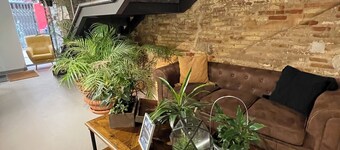 VTZ The Botanic Hostel