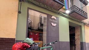 A green bicycle parked outside a building with a sign reading "The Botanic." - VTZ The Botanic Hostel (Zaragoza)