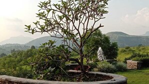 Jardín con muros de piedra, un árbol y una fuente, rodeado de césped y colinas al fondo.
