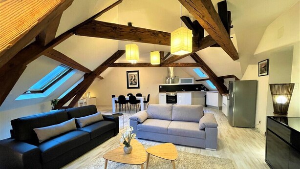 Living area - Superb furnished and equipped T3 decorated for the festive season (Montluçon)