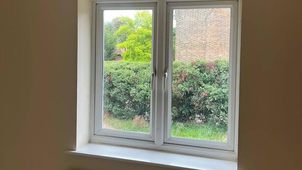 Una ventana de guillotina con marcos y alféizar blancos, que da a un jardín con diversos arbustos y un muro de ladrillo al fondo.
