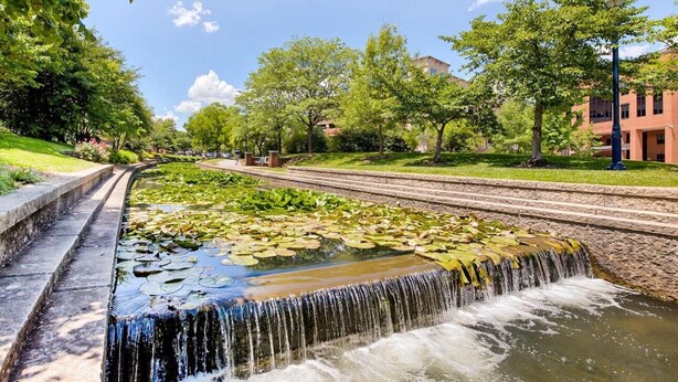 Ein ruhiger Außenbereich mit einem kleinen Wasserfall, einem gepflasterten Weg und üppigem Grün.