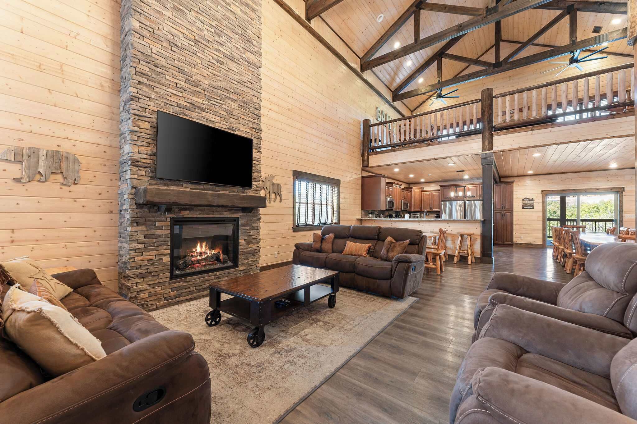 TV, fireplace, DVD player, books