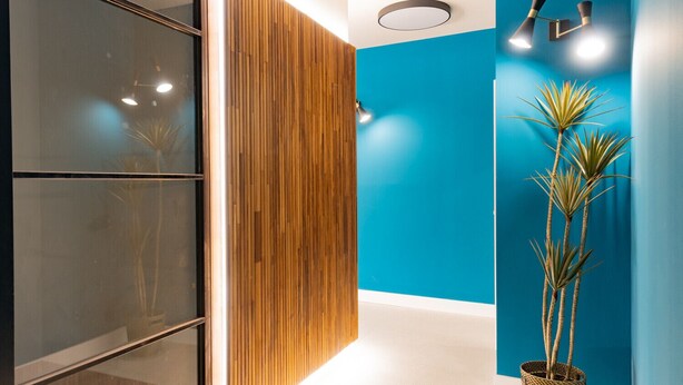 A modern interior with a wooden panel wall, a blue accent wall, and a potted plant. - Retiro: Comfortable flat in the area of Delicias (Madrid)