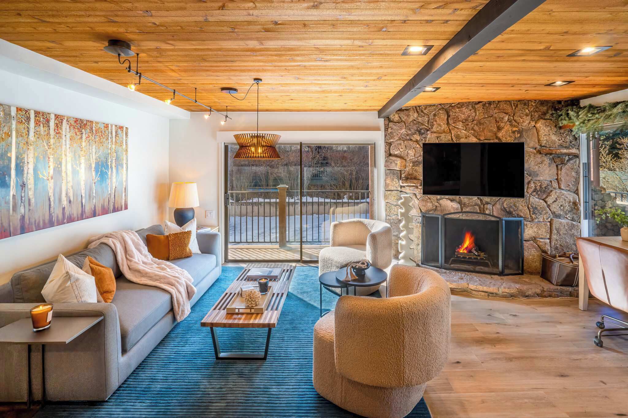 Smart TV, fireplace, books, stereo