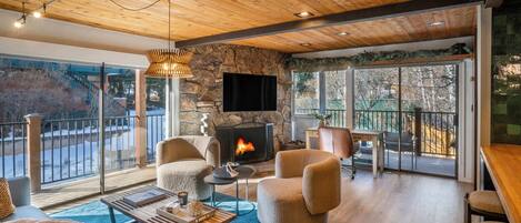 Smart TV, fireplace, books, stereo