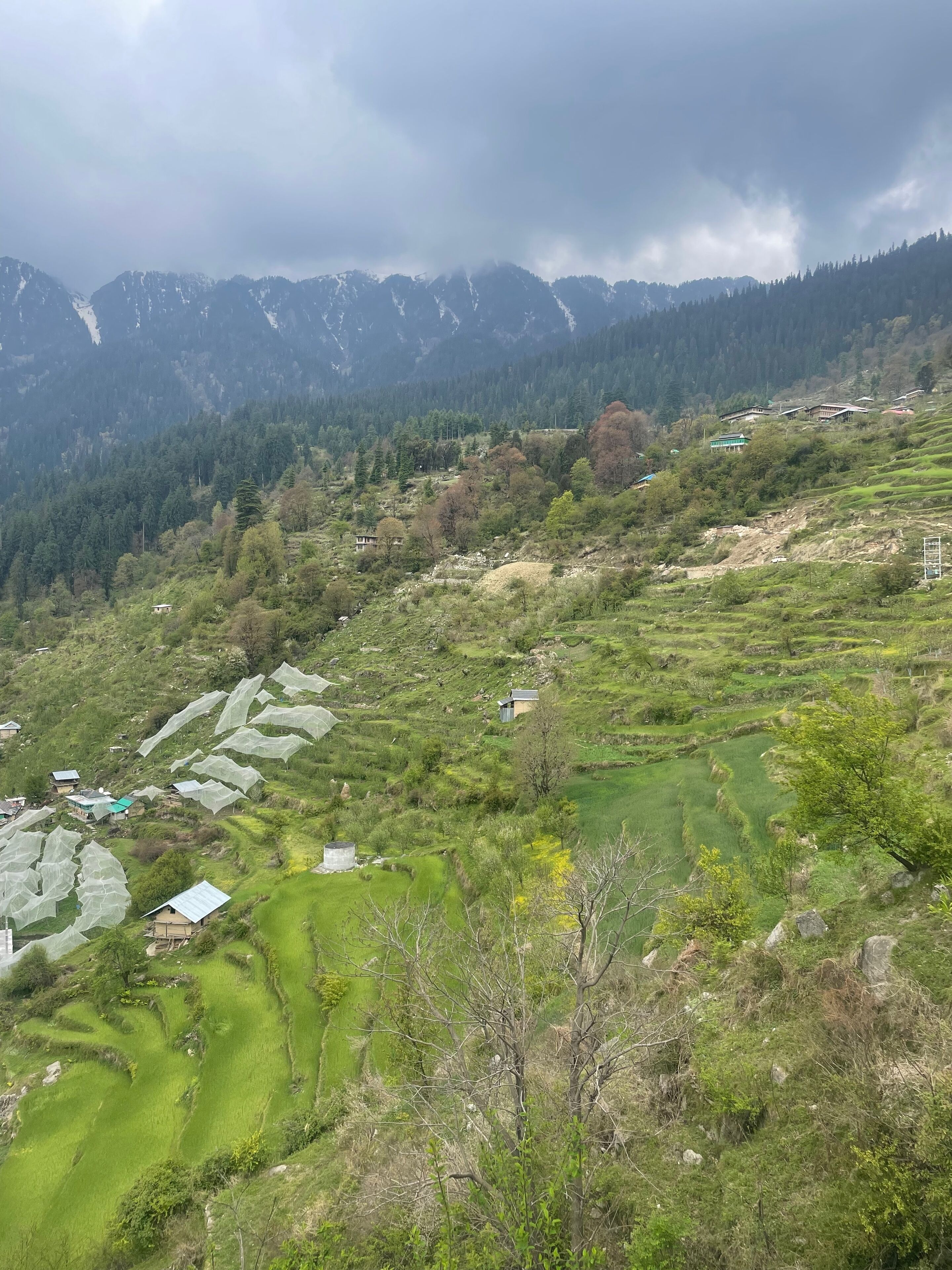 Eine gebirgige Landschaft mit terrassierten Feldern und verstreuten Gebäuden.
