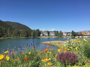 Escape to a serene lakeside haven surrounded by vibrant wildflowers and lush forested hills.