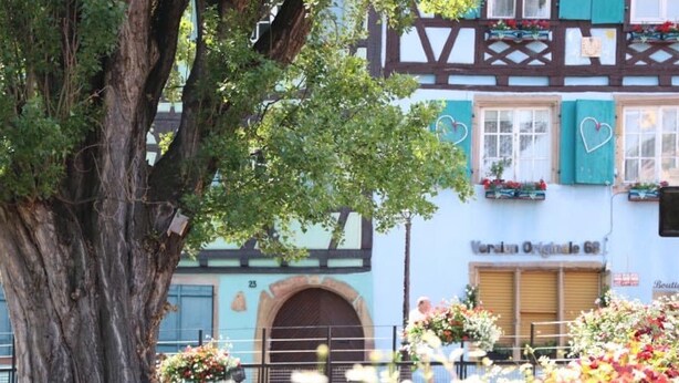 A traditional half-timbered building with a large tree in front, a flower bed with various plants, and a sign that reads "Verlaend Originale 6B".
