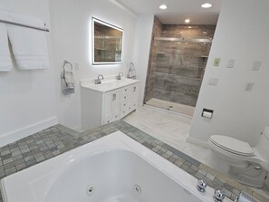Douche, baignoire à remous, séchoir à cheveux, serviettes fournies