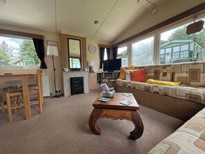 TV, fireplace