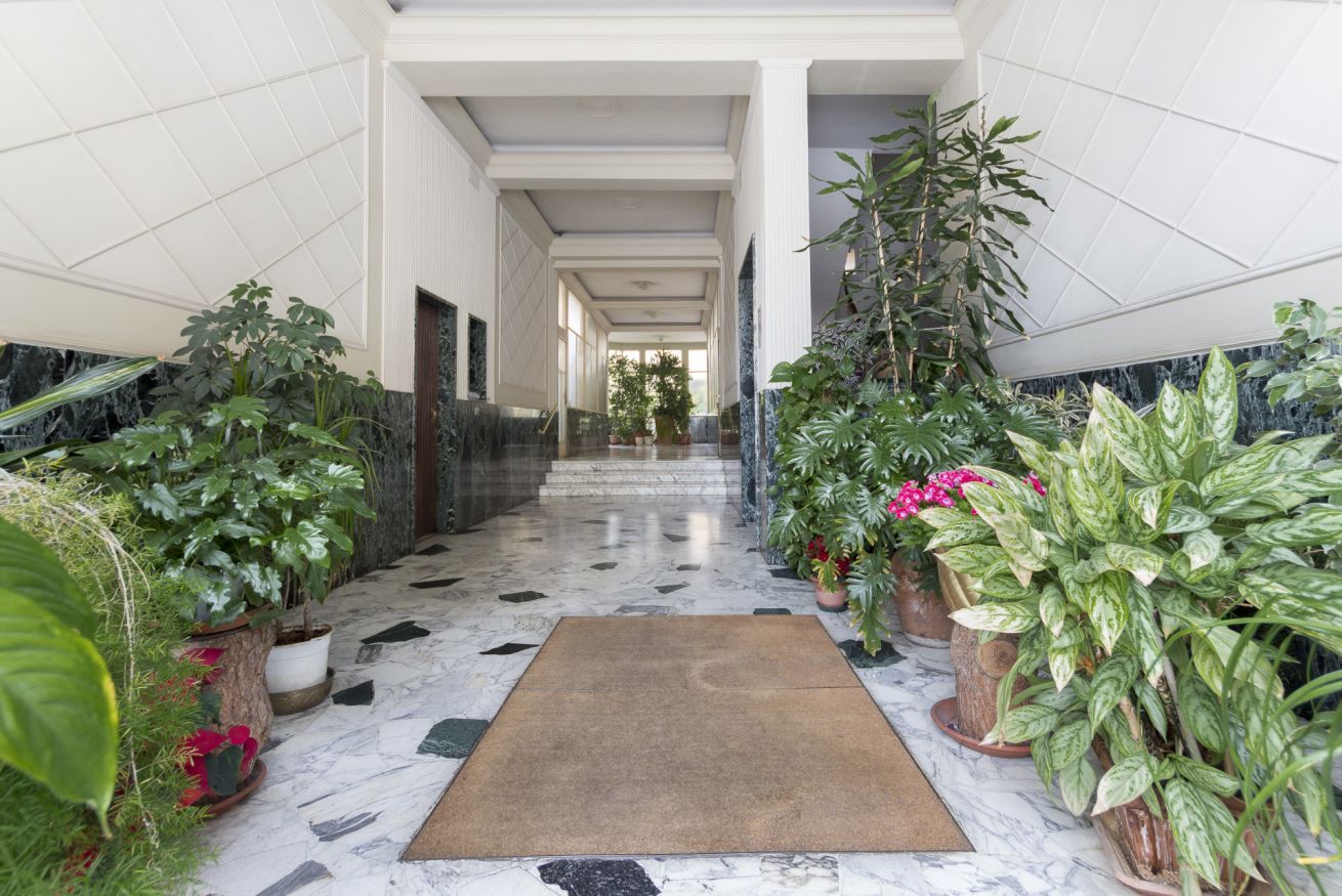 A hallway with a marble floor, potted plants, and a brown mat.