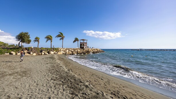A beach with a lifeguard tower, palm trees, and a rocky breakwater.