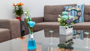 Une table dont le plateau est en verre, sur laquelle se trouvent un vase bleu et une petite plante en pot.