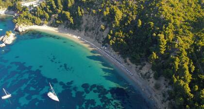 Persephone Seaview Room - Ariadne Skopelos Getaway