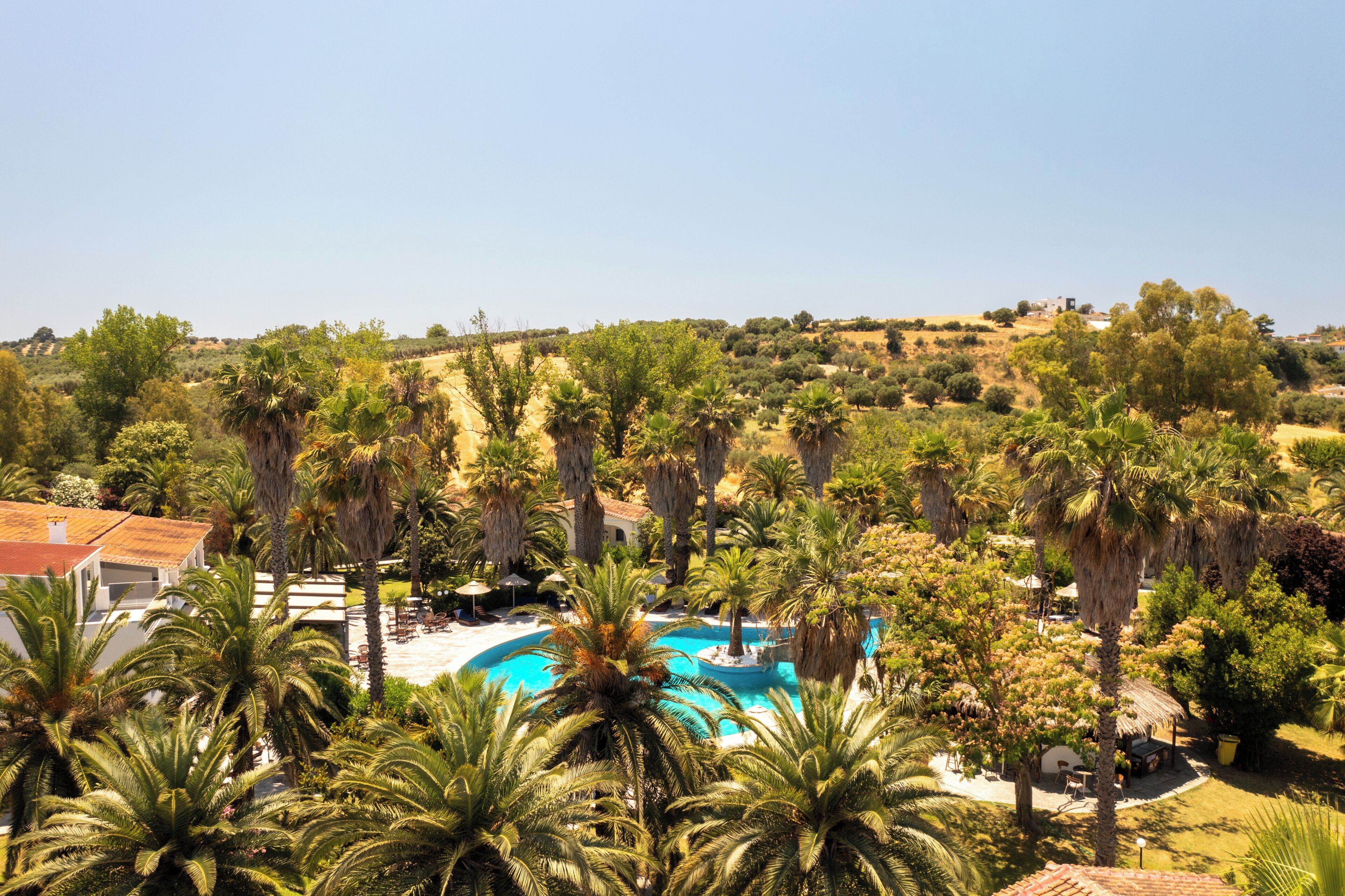A resort with a swimming pool surrounded by palm trees and a hilly landscape in the background.