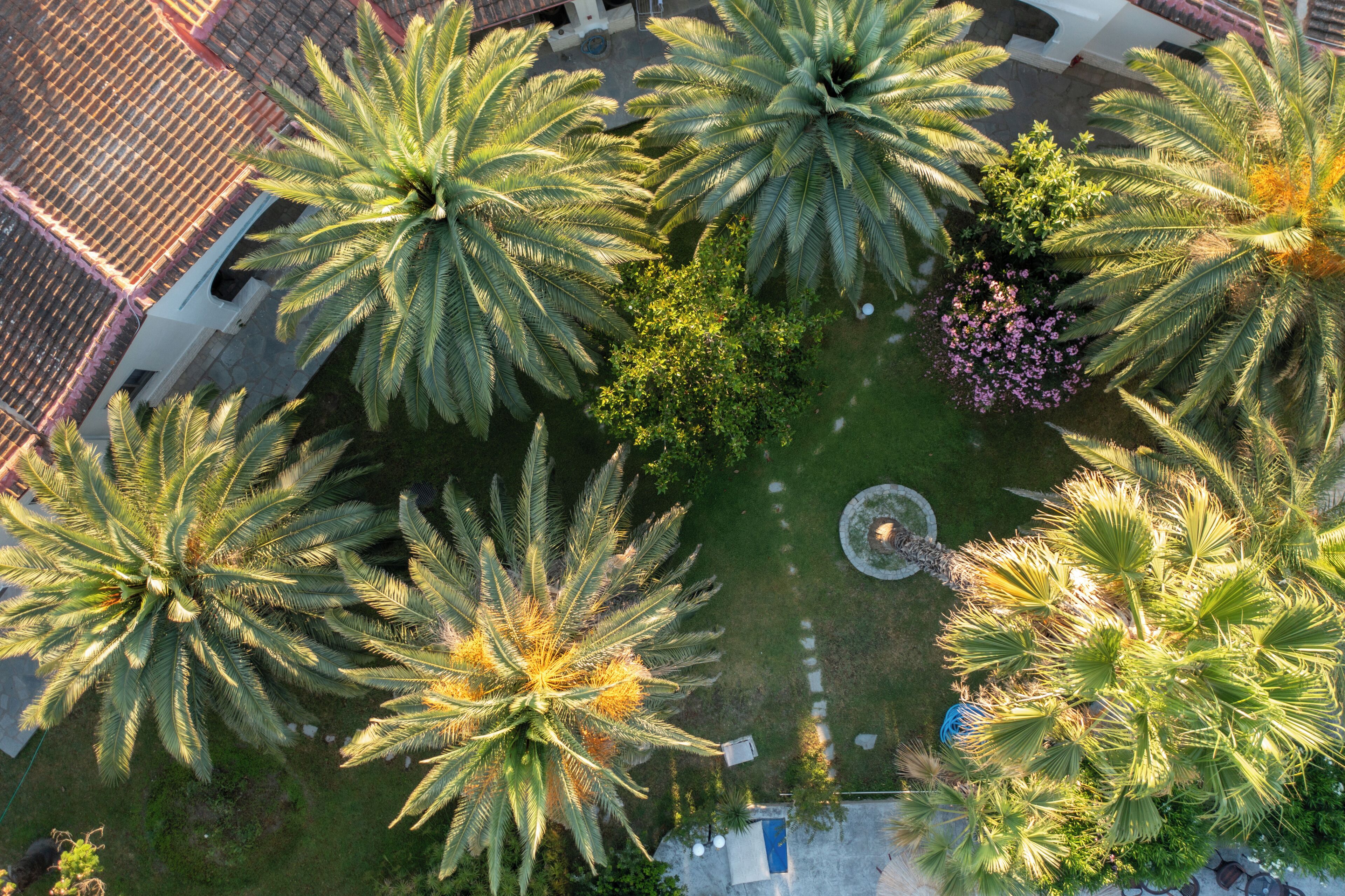 Jardín