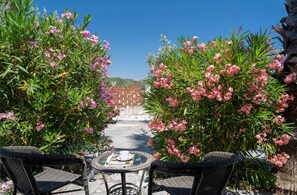 Vierbettzimmer | Terrasse/Patio