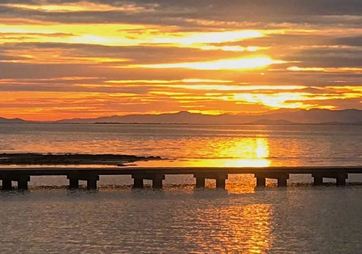 Värdens profilbild