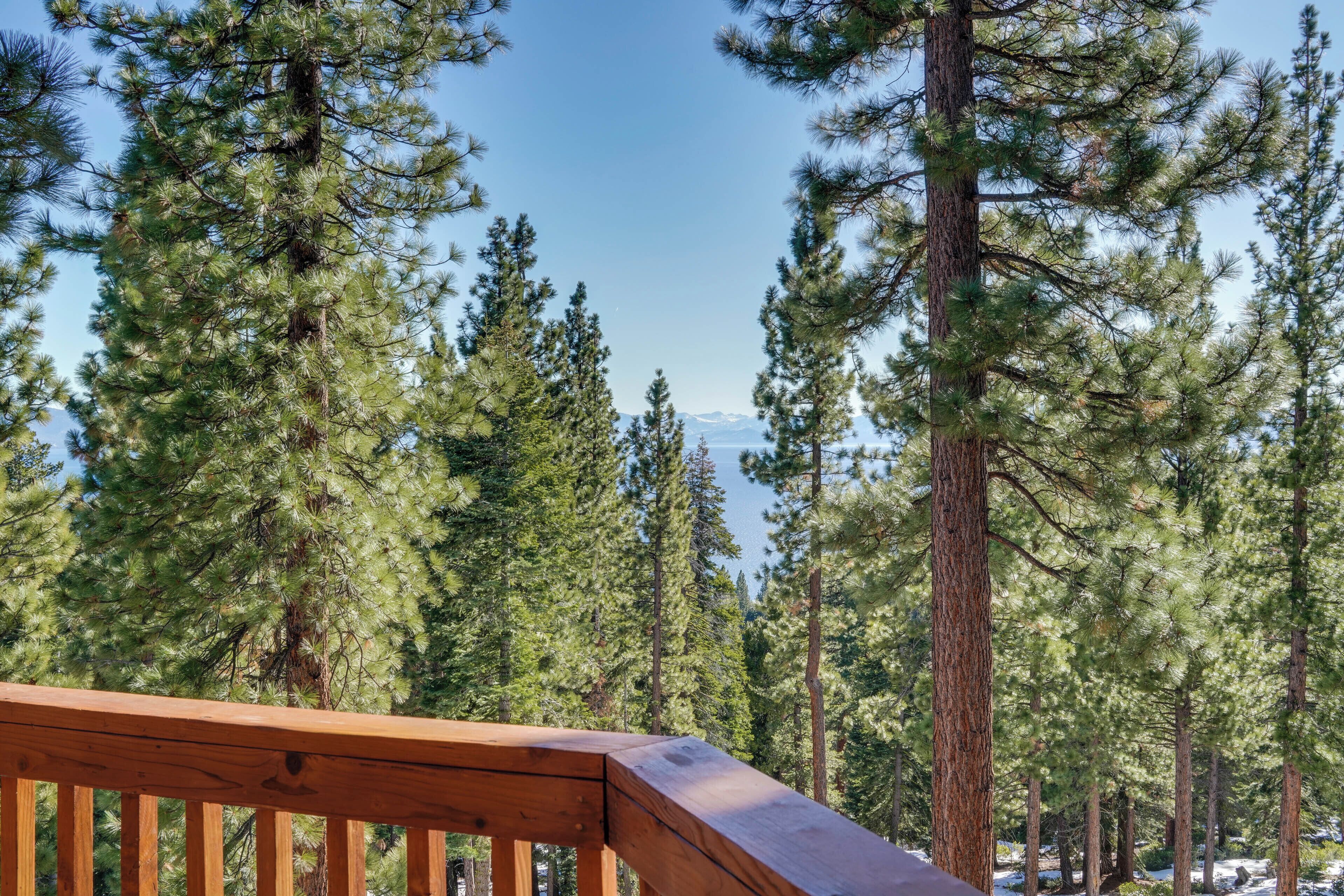 A wooden deck overlooking a dense forest of tall pine trees with a clear sky above.