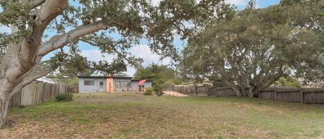 A backyard with a wooden fence, a small house, and a large tree.