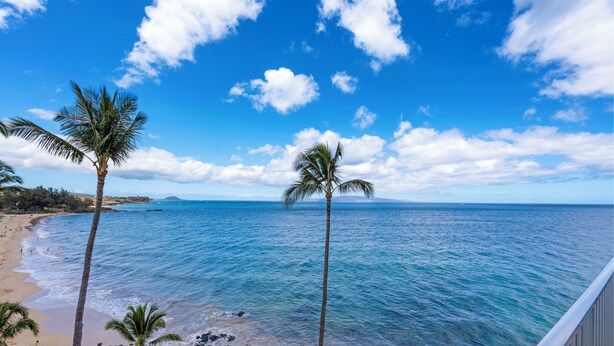 Una playa con palmeras y un cielo azul despejado.