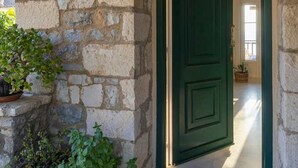 A stone building entrance with a green door, potted plants, and a welcome mat.