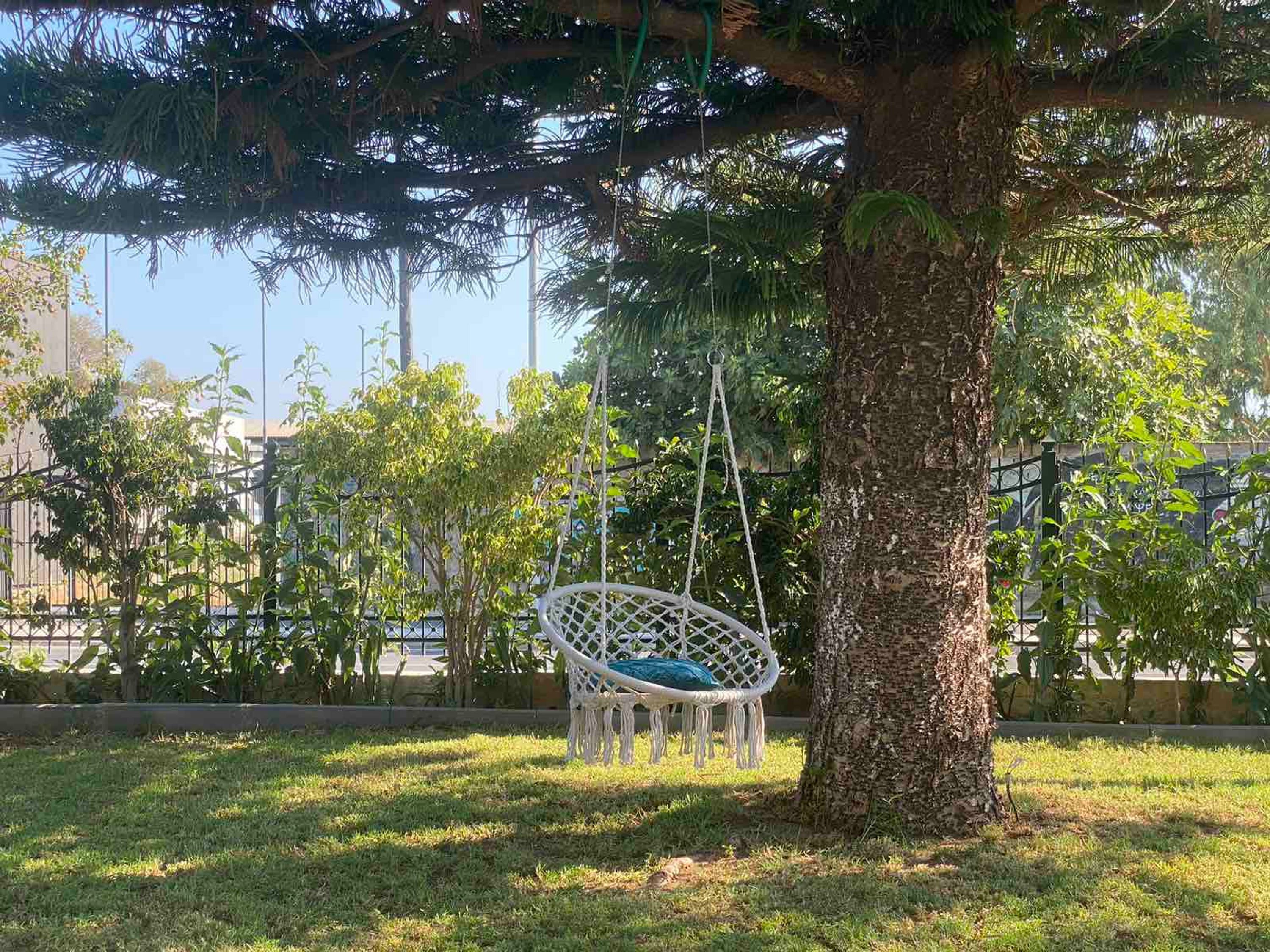 Puussa roikkuva riippumatto, joka on kiinnitettynä puuhun ruohikkoisella alueella. Taustalla näkyy aita ja rakennuksia.