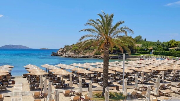 Ein Resort direkt am Strand mit Reihen von Liegestühlen und Sonnenschirmen, einer Palme und Blick auf das Meer und die entfernten Hügel.